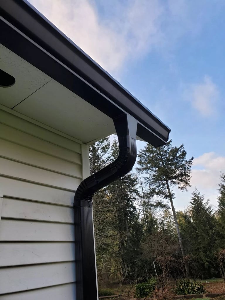 Black gutter and downspout on white house siding with forested background
