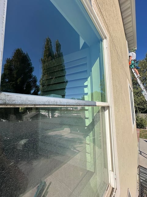 Large window with reflections showing tall cypress trees and blue sky, with ladder and house exterior visible