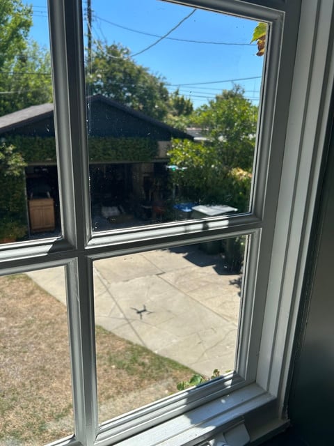 View through a window with gray frame showing a patio, grass, trees, and clear blue sky